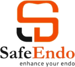 logo safendo